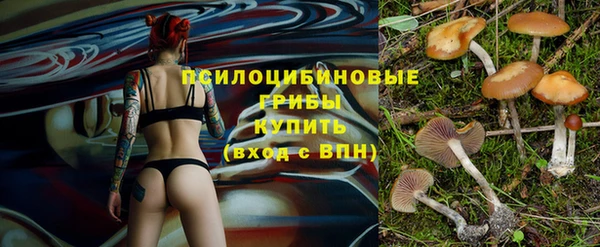 спайс Алексеевка