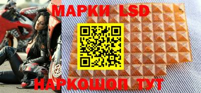 гидропоника Кингисепп