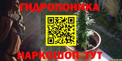 a pvp Кинель