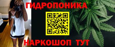 гидропоника Кингисепп