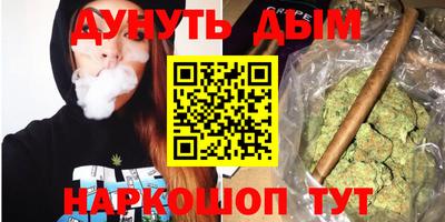 сатива Кимры