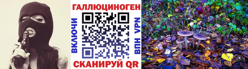 наркошоп  ОМГ ОМГ сайт  Галлюциногенные грибы Psilocybe  Людиново 